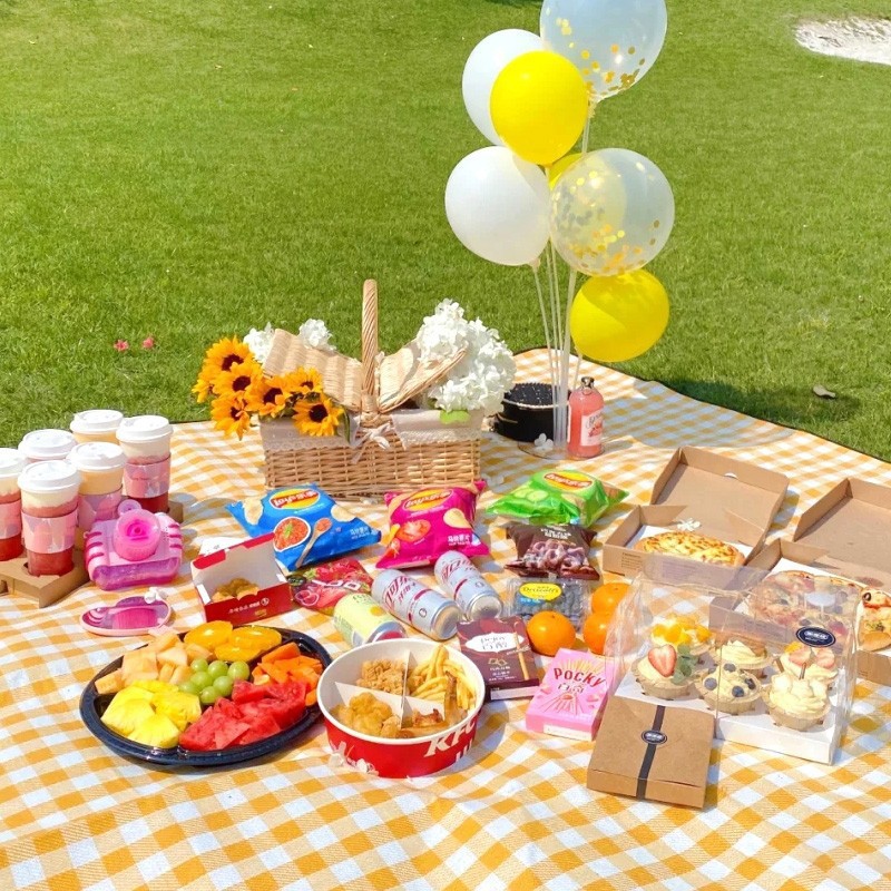 Manta de Picnic Extra Grande d - Outdoor Camping Rug reseña y precio